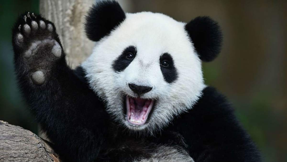 Beginner tips for Exploratory data analysis with Pandas